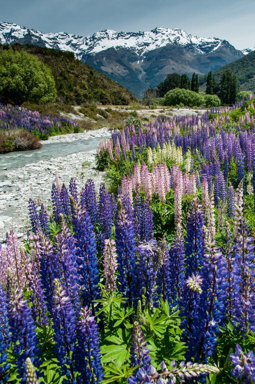 Glenorchy Peaks Bed And Breakfast Extérieur photo
