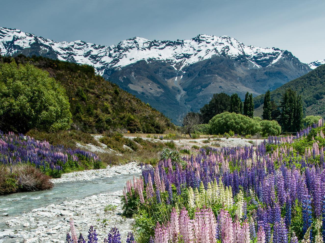 Glenorchy Peaks Bed And Breakfast Extérieur photo